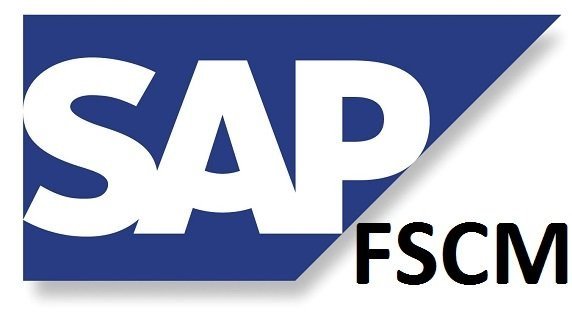  SAP FSCM